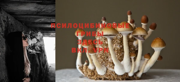 прущая мука Абдулино