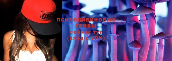 не бодяженный Абаза
