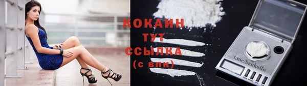 сатива Абинск
