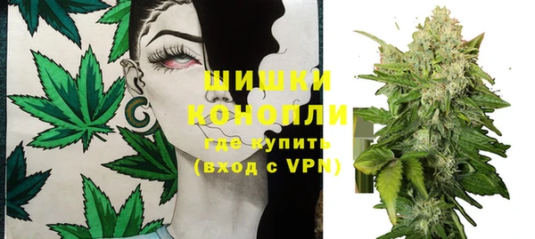 сатива Абинск
