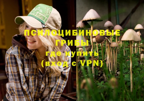 не бодяженный Абаза