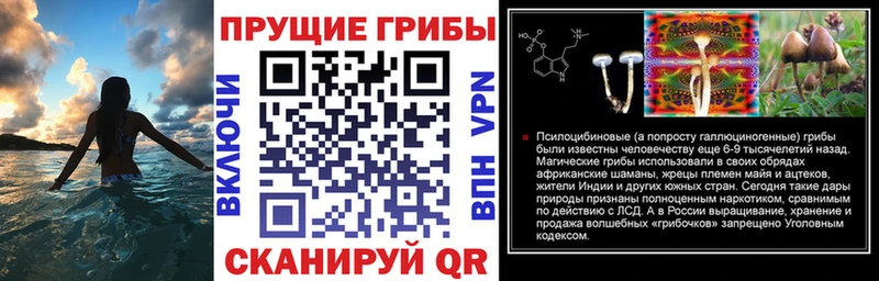 Галлюциногенные грибы прущие грибы  Краснозаводск 